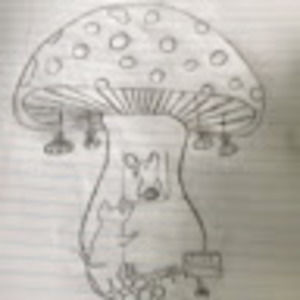 Meet your Posher, Kylie noelle